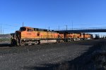 BNSF Richardson Grain Train